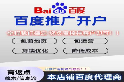 百度竞价广告投放全解析：成功案例揭秘